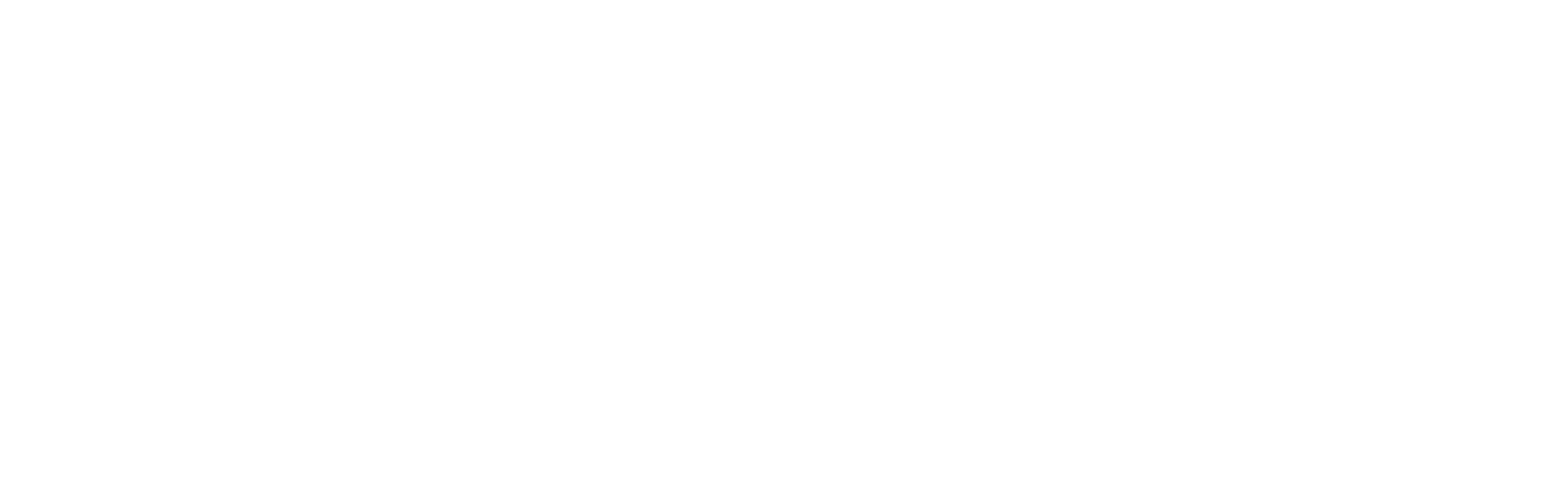 SEC-T logo